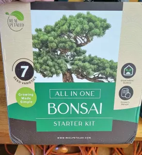 Bonsai Starter Kit Real Petaled