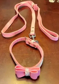 Decorated dog collar and leash