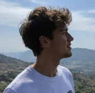 riccardowils