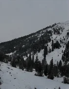 paoladeluca