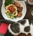 caterinaromano