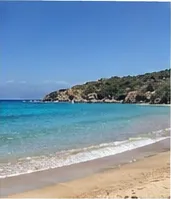 lealef