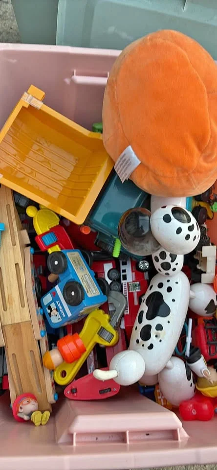 Box giochi: dalmata grande, trenino, attrezzi