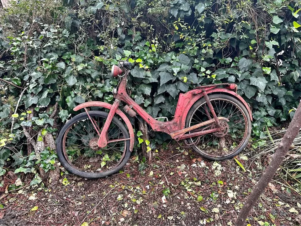 Vintage red moped - for restoration