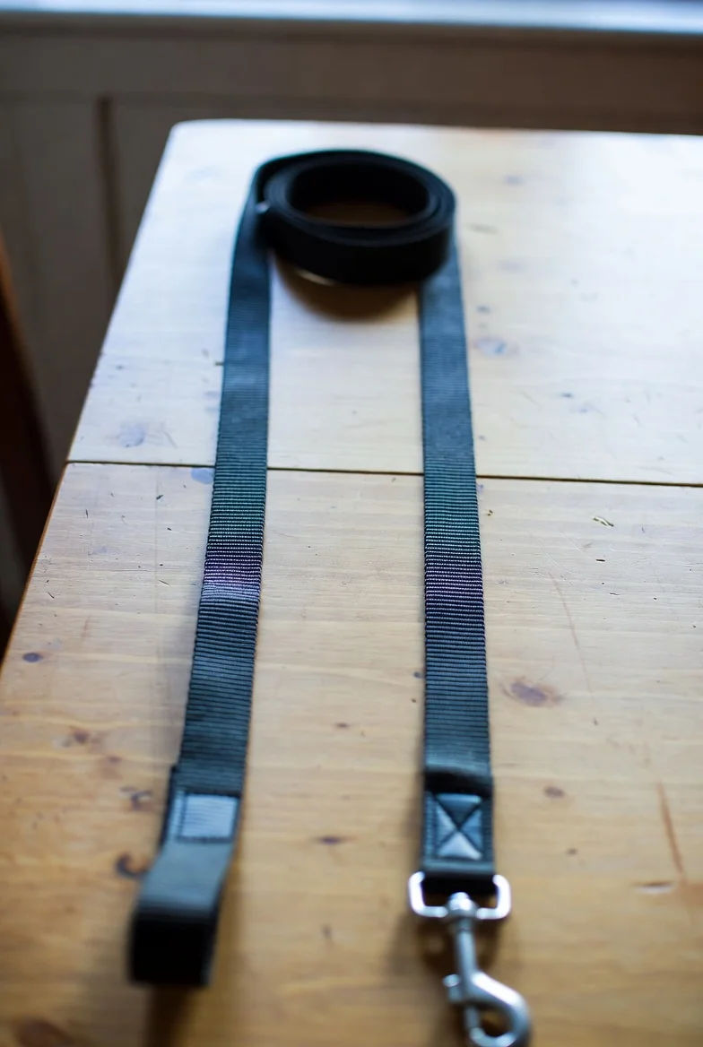 Long dog leash - black nylon
