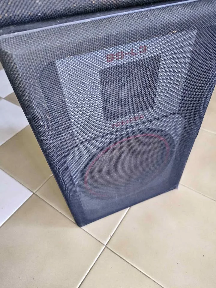 Cassa diffusore PA verticale - con woofer e rete