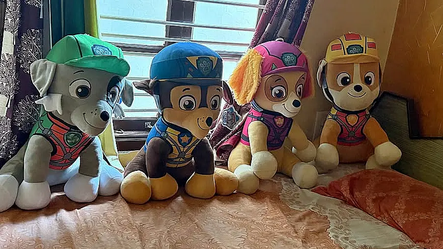 Cuatro peluches grandes de Paw Patrol