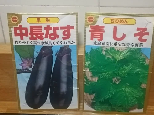 Semi giapponesi melanzana lunga e shiso riccio