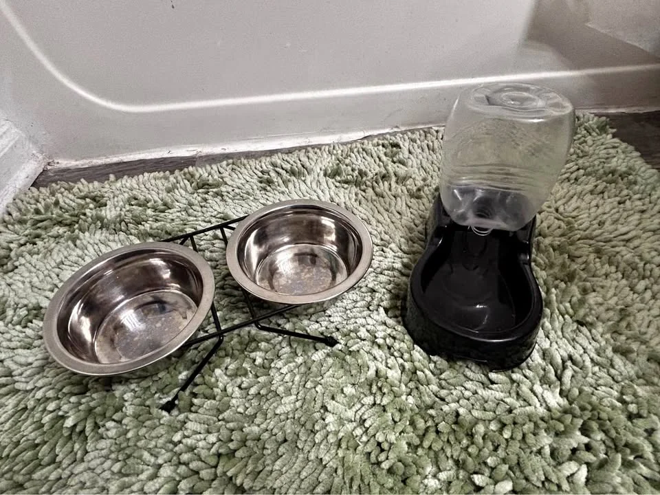Set doppia ciotola acciaio + dispenser acqua