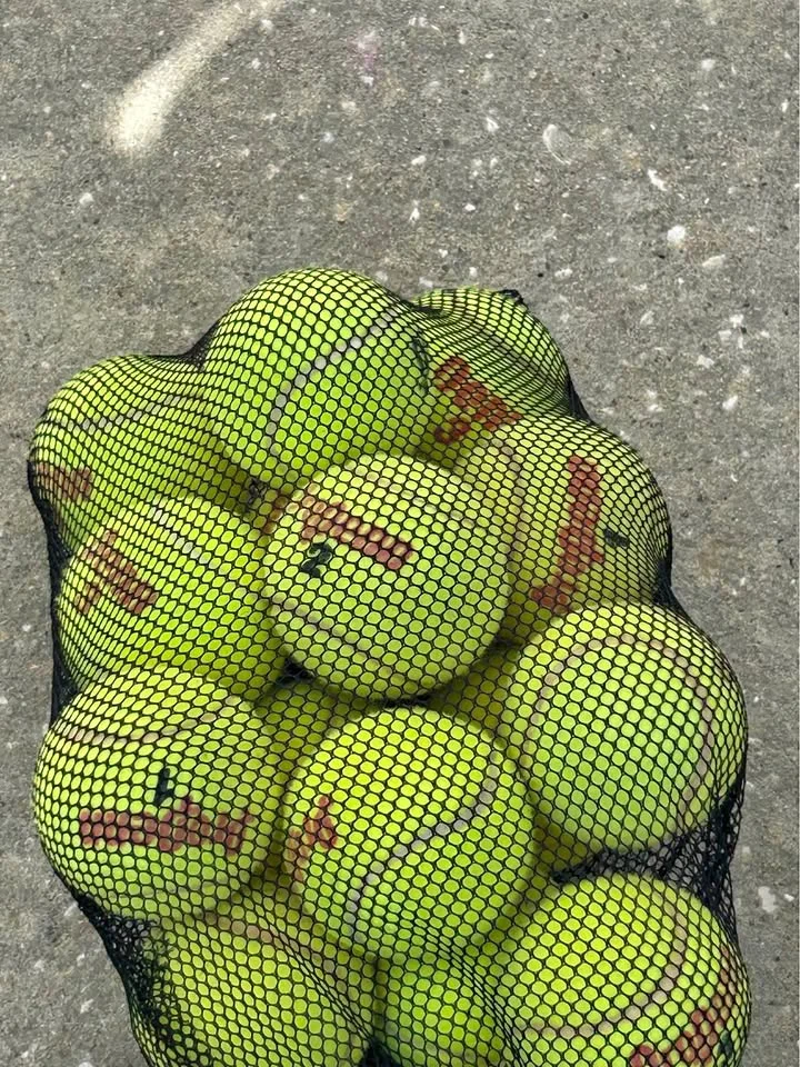 Sacca palline tennis usate (~15 pz)