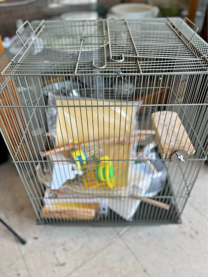 Cage pour oiseaux avec accessoires