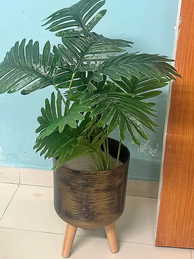 Planta de interior con maceta y trípode
